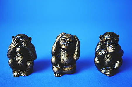 art, monkeys, statues, sculpture thumbnail