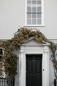 house covered with plants thumbnail