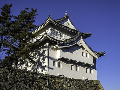 Looking at Nagoya Castle, Japan thumbnail