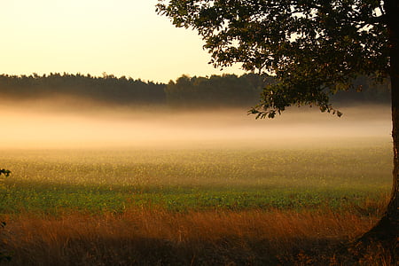 green and brown grass field under sunny sky thumbnail
