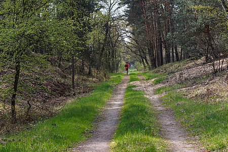 person running in between trees thumbnail