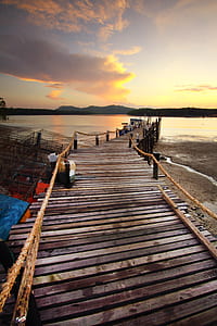 wood, sea, dawn, landscape thumbnail