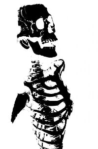 black and white human skeleton illustration thumbnail