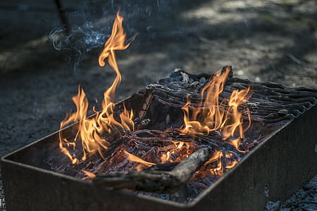 tree branch on fire thumbnail