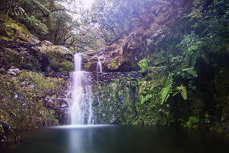 waterfalls in the middle of forest thumbnail