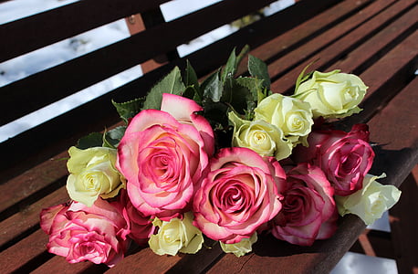 pink and yellow petaled flowers on brown wooden bench thumbnail