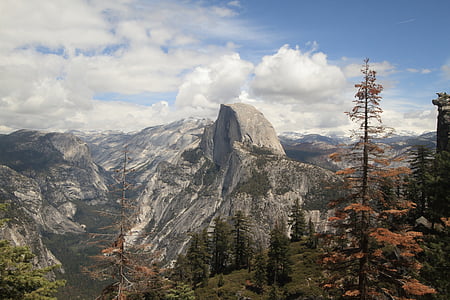 aerial photo of trees near mountain at daytime thumbnail