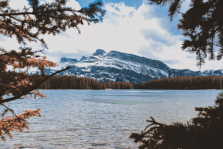 Body of Water Beside Brown Trees Near Mountain thumbnail
