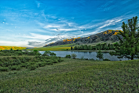 green grass field thumbnail