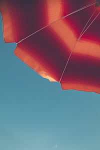 Red and Orange Umbrella thumbnail