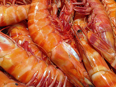 close-up photo of shrimps thumbnail