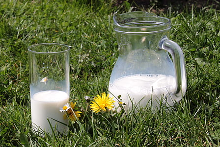 clear glass pitcher and drinking glass on grass field thumbnail
