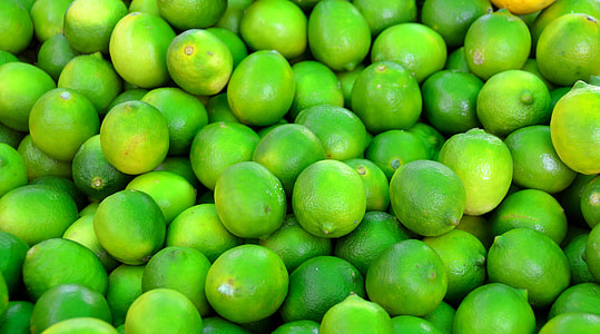 photo of bunch of Calamondin thumbnail
