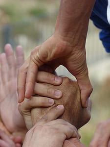 close-up photography of people holding hands thumbnail