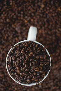 Cup Of Coffee Beans thumbnail