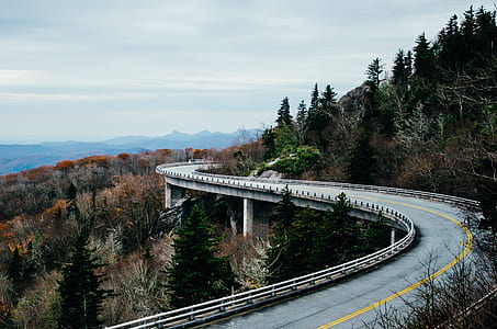 gray zig-zag road surrounded of green trees thumbnail