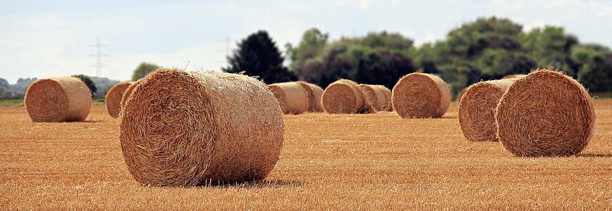 hay lot during daytime thumbnail