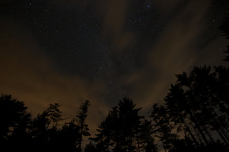 trees under gray clouds during nighttime thumbnail
