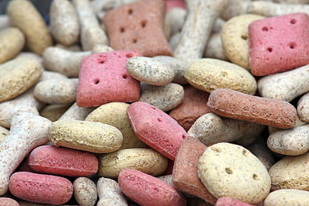 animal, background, biscuit, brown, canine, care thumbnail