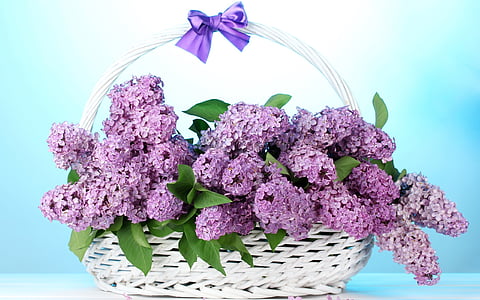 lavender flower basket thumbnail