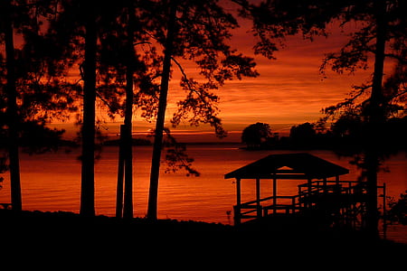 silhouette of trees during sunset thumbnail