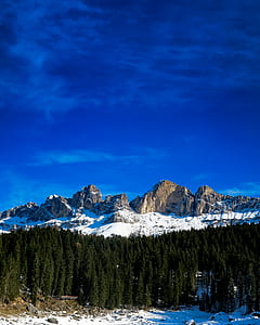 snow covering mountain near pine trees thumbnail