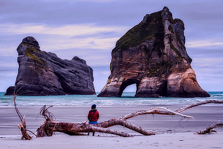 person wearing red jacket and black hat sitting on brown wooden tree trunk on seashore under gray clouds thumbnail