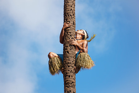 man climbing tree under blue cloudy sky during daytime photo thumbnail