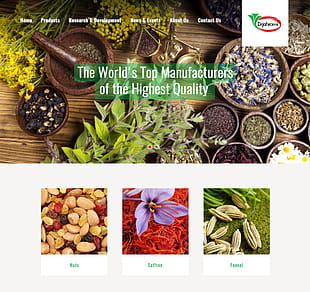 Dr.Jahromi Herbal Website Template psd file
