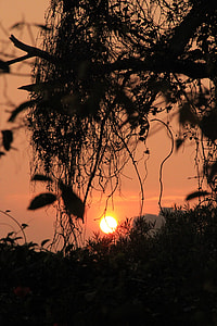 sunset scenery thumbnail
