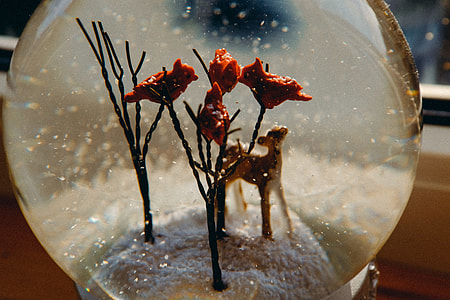 Snow ball thumbnail