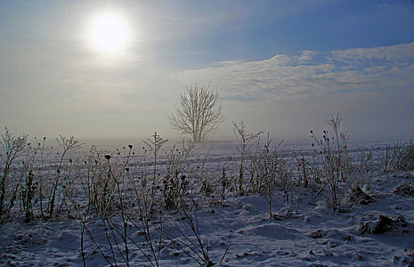 landscape photo of a snowy field thumbnail