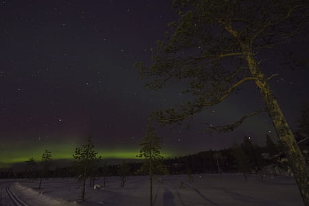 southern lights thumbnail