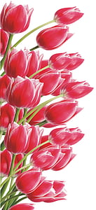 pink petaled flowers animated illustration thumbnail