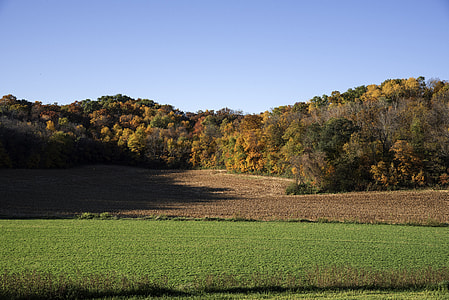 View of the trees and autumn forest in Wisconsin thumbnail