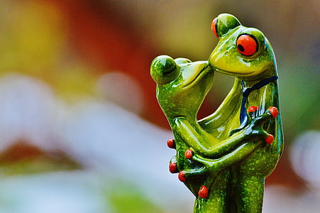 two green frogs kissing each other thumbnail