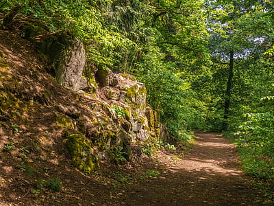dirt road during daytime thumbnail
