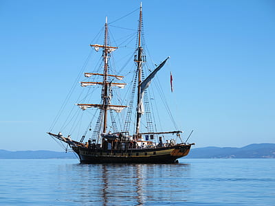 brown ship on sea thumbnail