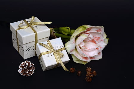white, pink, and gold-colored gift boxes and flower thumbnail