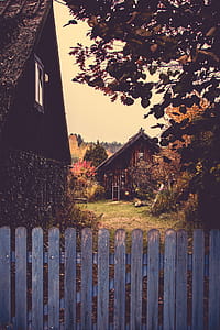 Brown Wooden Houses thumbnail