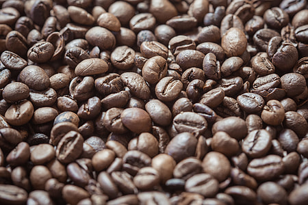 Coffee Beans Close Up thumbnail