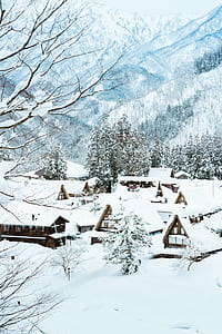 houses covered with snow thumbnail