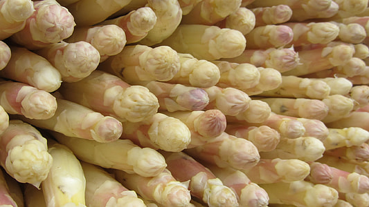photography of beige dildo thumbnail