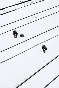 two black-and-gray metal tools on the ground with snows thumbnail