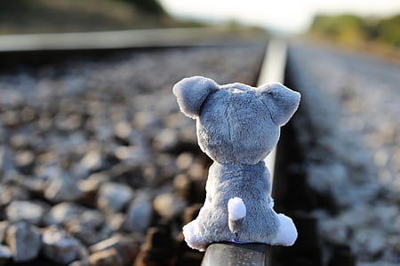 gray and white dog plush toy thumbnail
