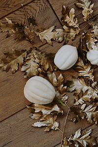 White pumpkins with golden oak leaves thumbnail
