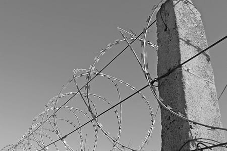 barbed wire thumbnail