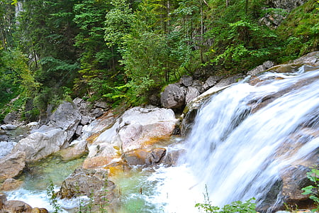 waterfall surrounded with tall trees thumbnail