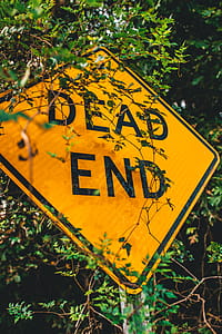 Dead End Road Sign thumbnail