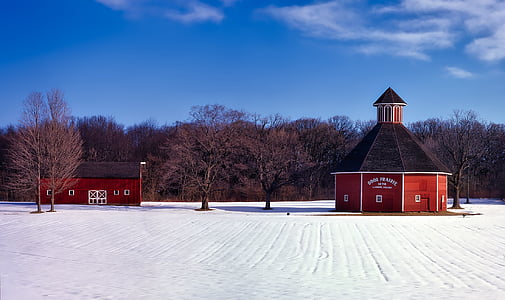 dome-shaped house near of bare tree in snow field thumbnail